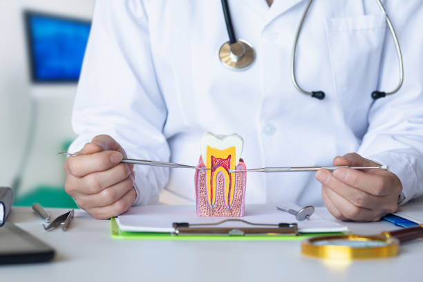Best Emergency Treatment for Toothache in Wmette, IL
